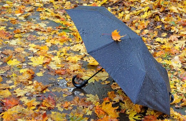 Зонтик осенью