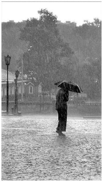 Статусы про дождь и грусть