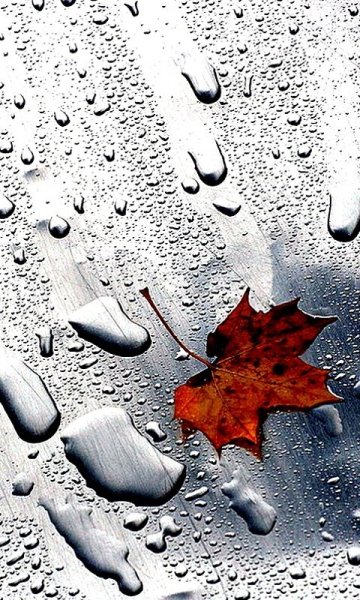 Капли дождя на стекле осень