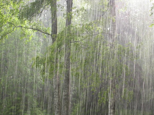 Сильный ливень