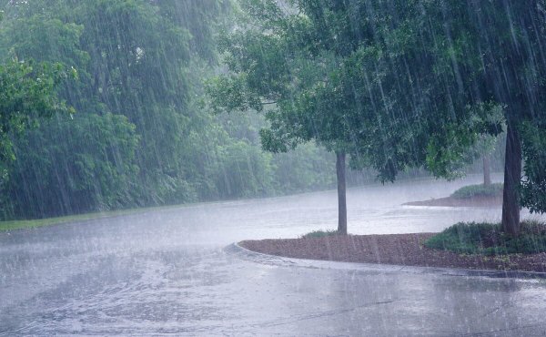 Ливень с грозой