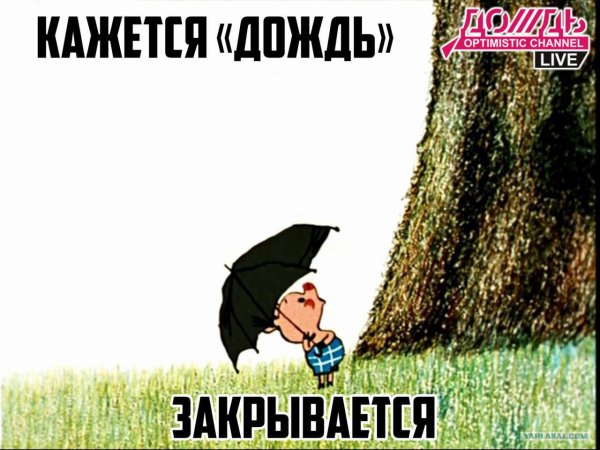 Пятачок кажется дождь начинается