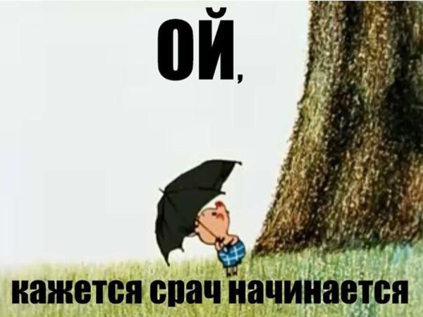 Срач начинается