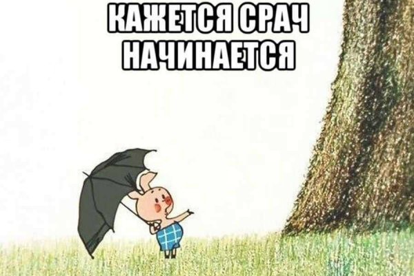 Кажется дождь собирается