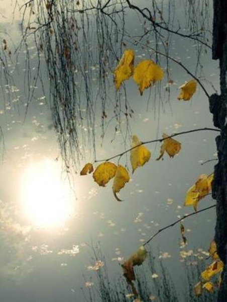 Осень Солнечная и дождливая