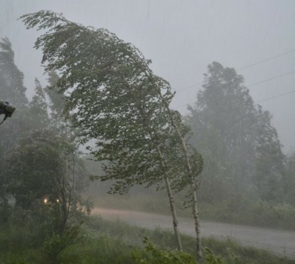 Сильный дождь