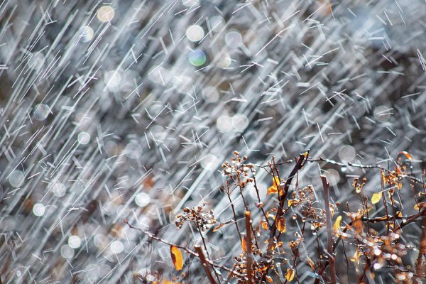 Сильный дождь осень