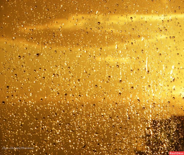 Фото Золотой дождь, более 70 качественных бесплатных стоковых фото