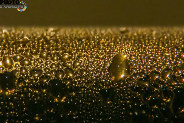 Золотой ливень