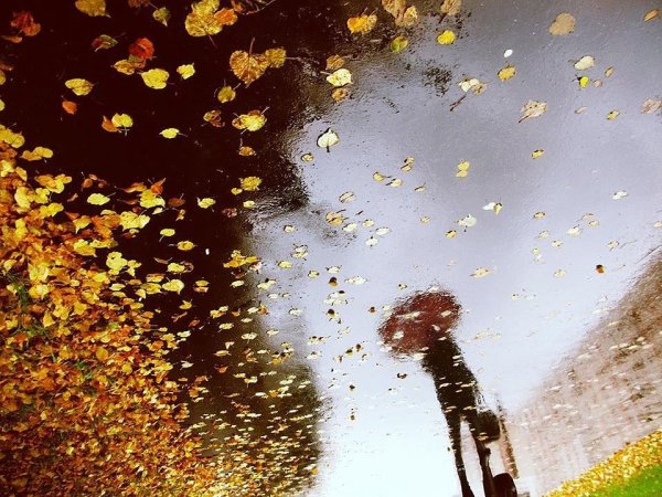 Человек под золотым дождем