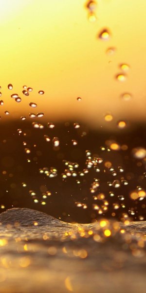 Золотые капли