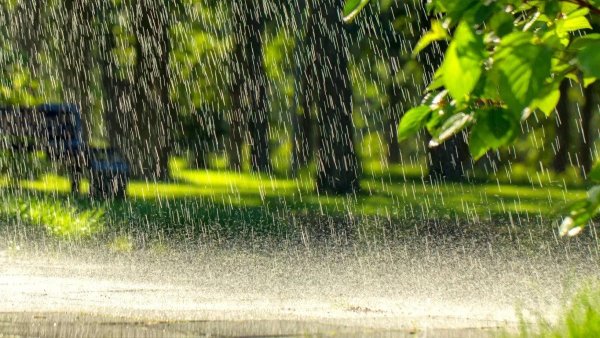 Летнее тепло и небольшие дожди