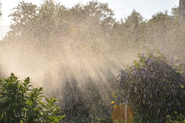 Дождевая завеса