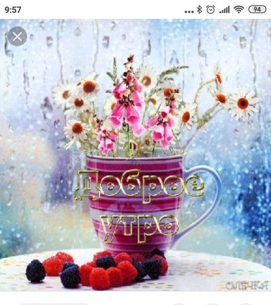 Доброе дождливое утро