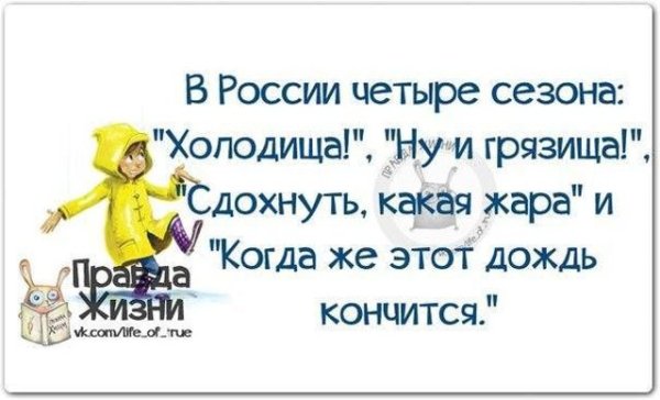 Смешные высказываничпро дождь