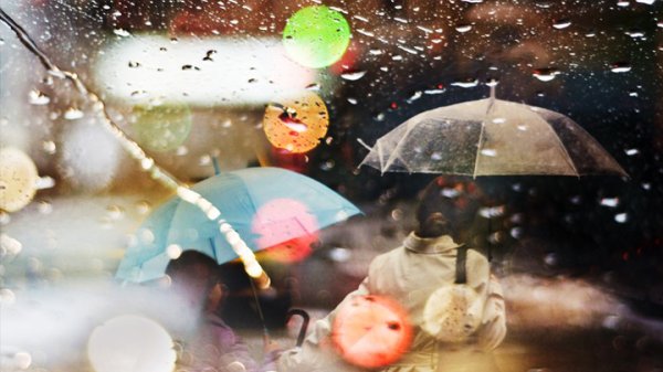 Под зонтом в толпе