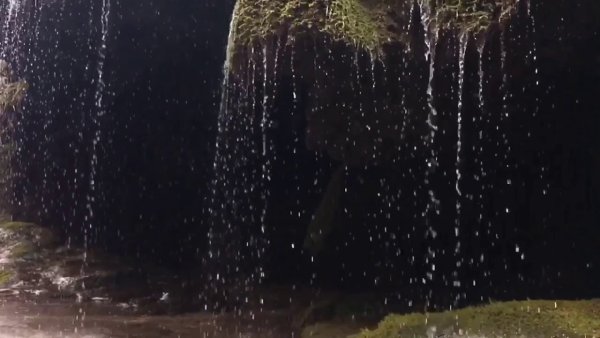 Дождевые струи