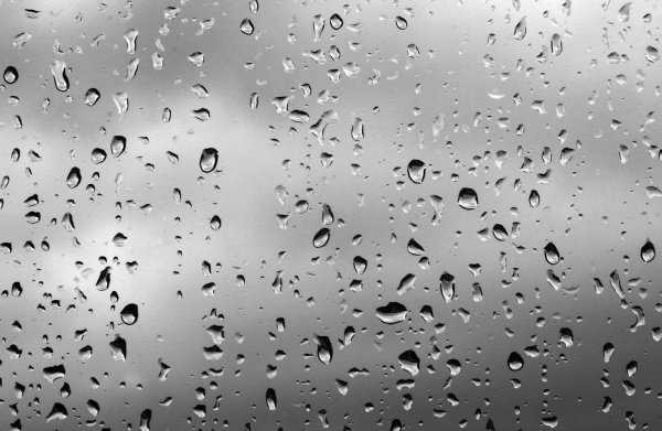 Капли на стекле обои