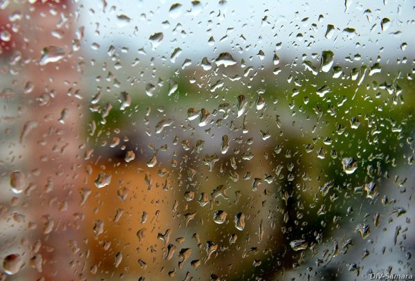 Майский дождь