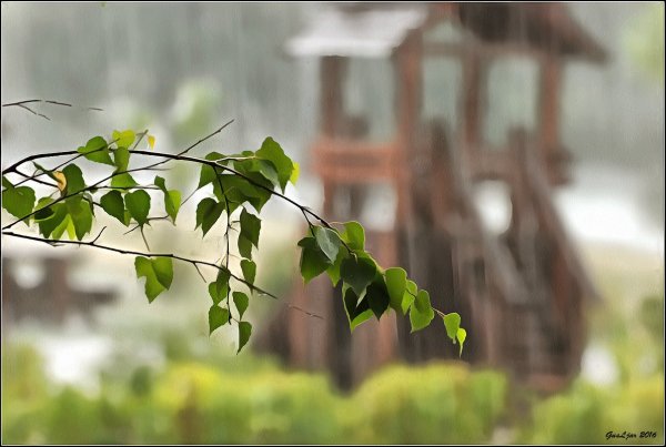 Весенний дождь на даче