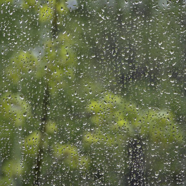 Майский ливень