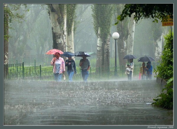 Летний ливень в городе