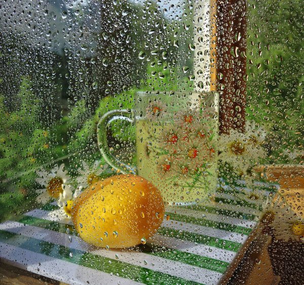 Доброе дождливое утро