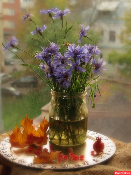 Доброе дождливое у то РО