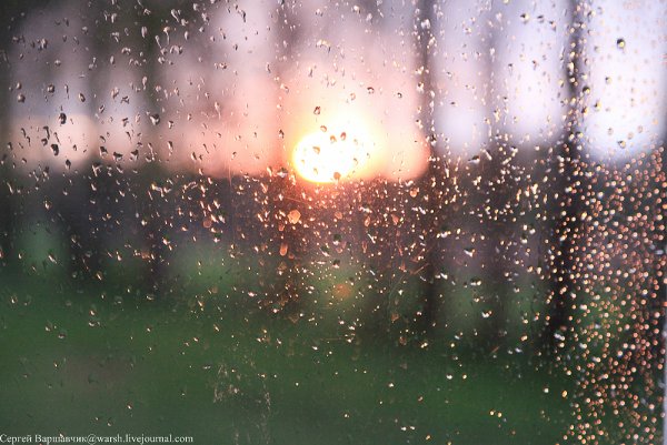 Дождливое утро