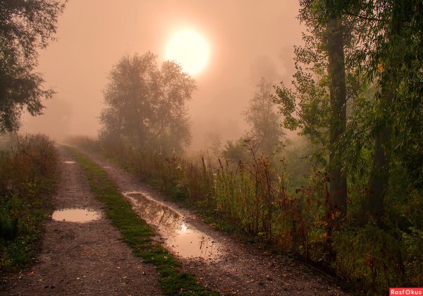 После дождя