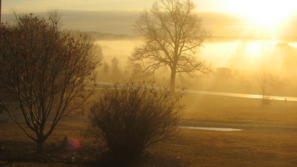Осень туманное утро