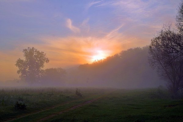 Ранняя Заря