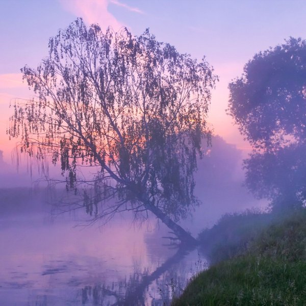 Туманный рассвет