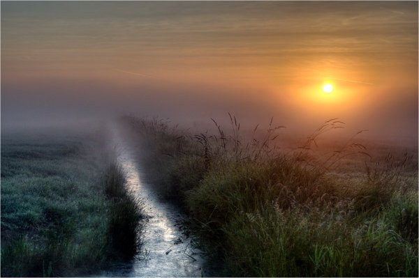 Рассвет дождь туман