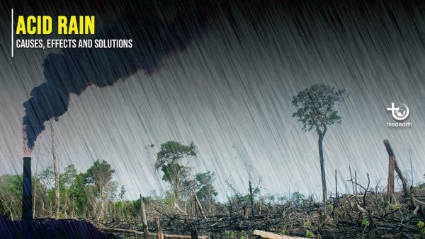 Кислотные дожди