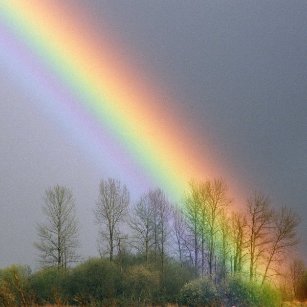 Радуга после сильного дождя