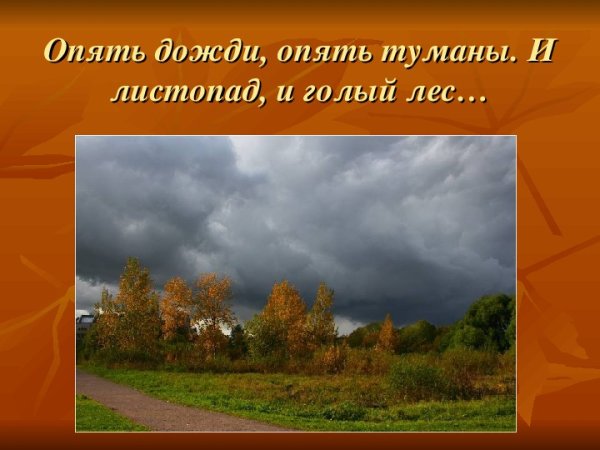 Дожди опять дожди