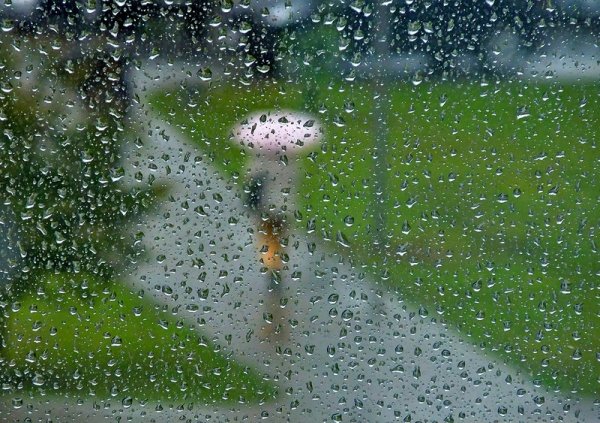 Первый дождь