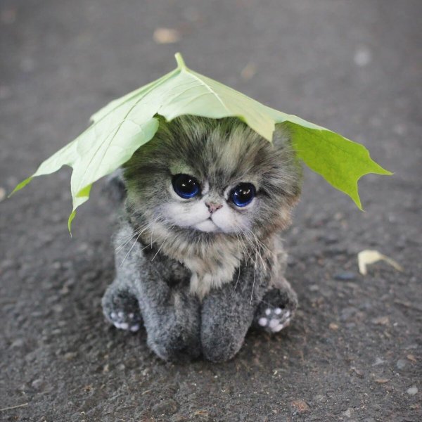 Картинки Веселые со смыслом для поднятия настроения