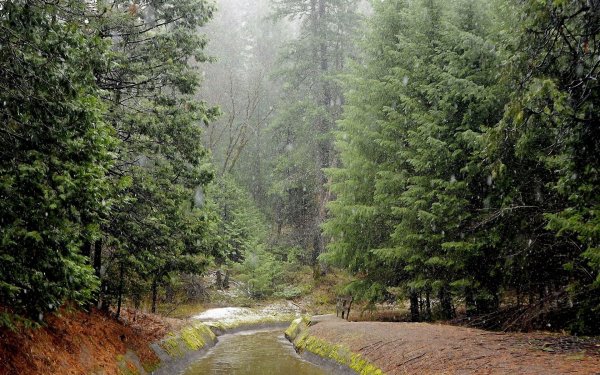 Беловежская пуща озеро