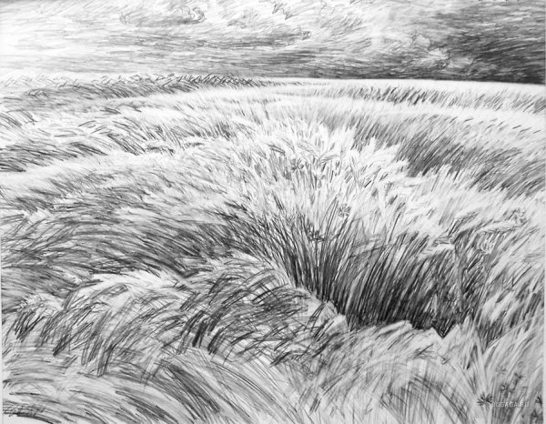 Пейзаж штрихами