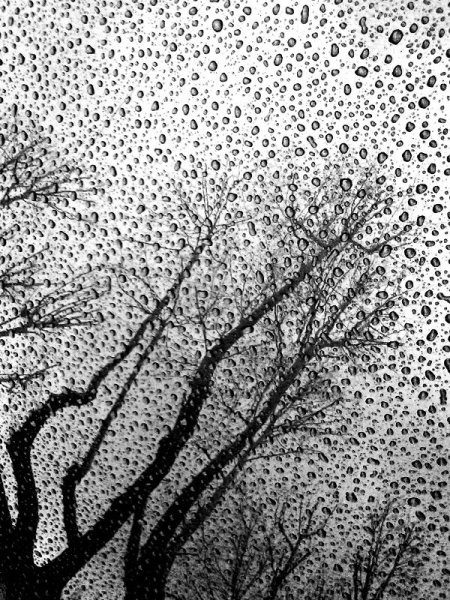 Черное пятно картина