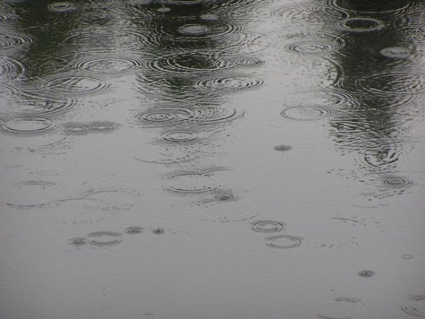 Дождь и слезы