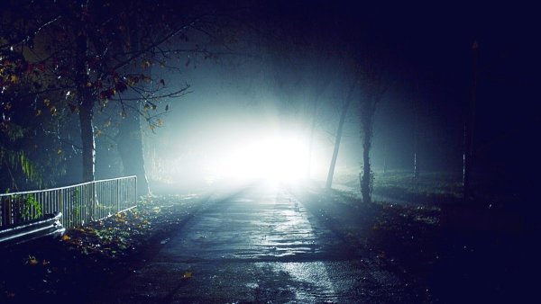 Во мраке ночи