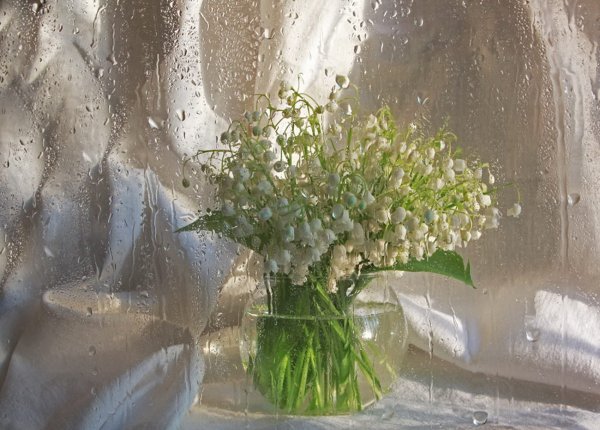 Майское утро дождливое Весеннее