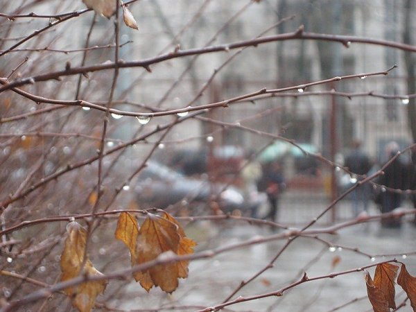 Апрельский дождь