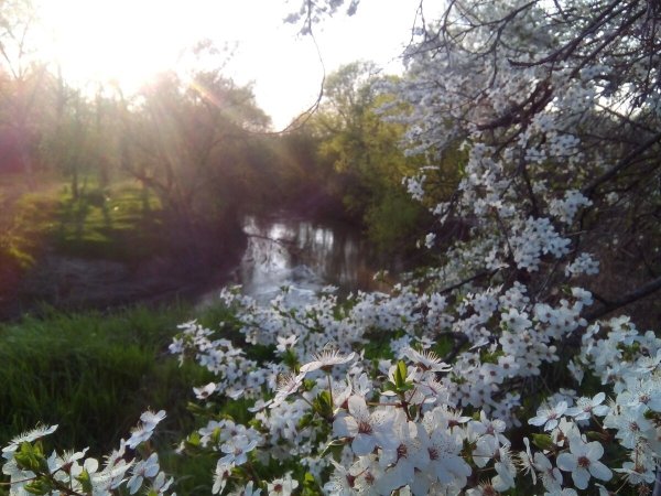 Весна апрель картинки красивые