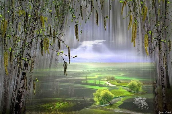 Игорь Зенин фотохудожник