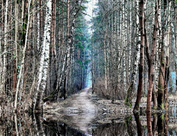 Апрельский дождь
