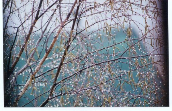 Апрельский дождь